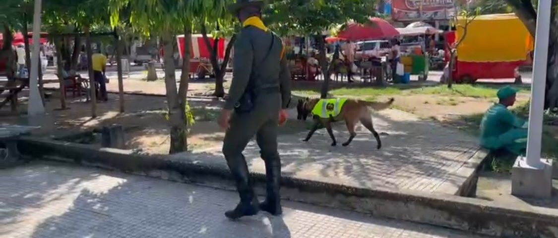 Oker el canino de la Policía que detecta pólvora y frustra su